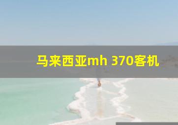 马来西亚mh 370客机